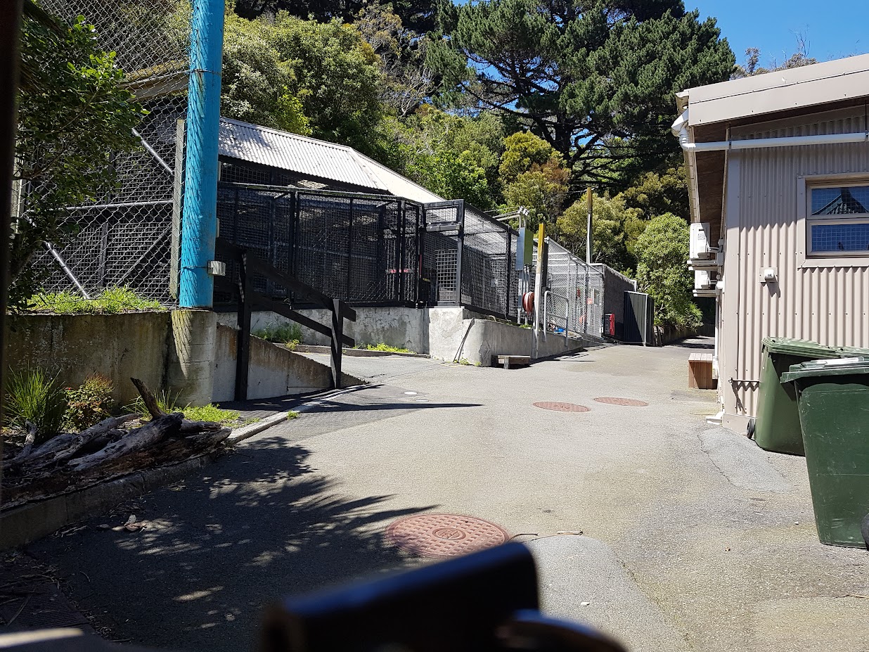 Wellington Zoo | Tiger Backstage