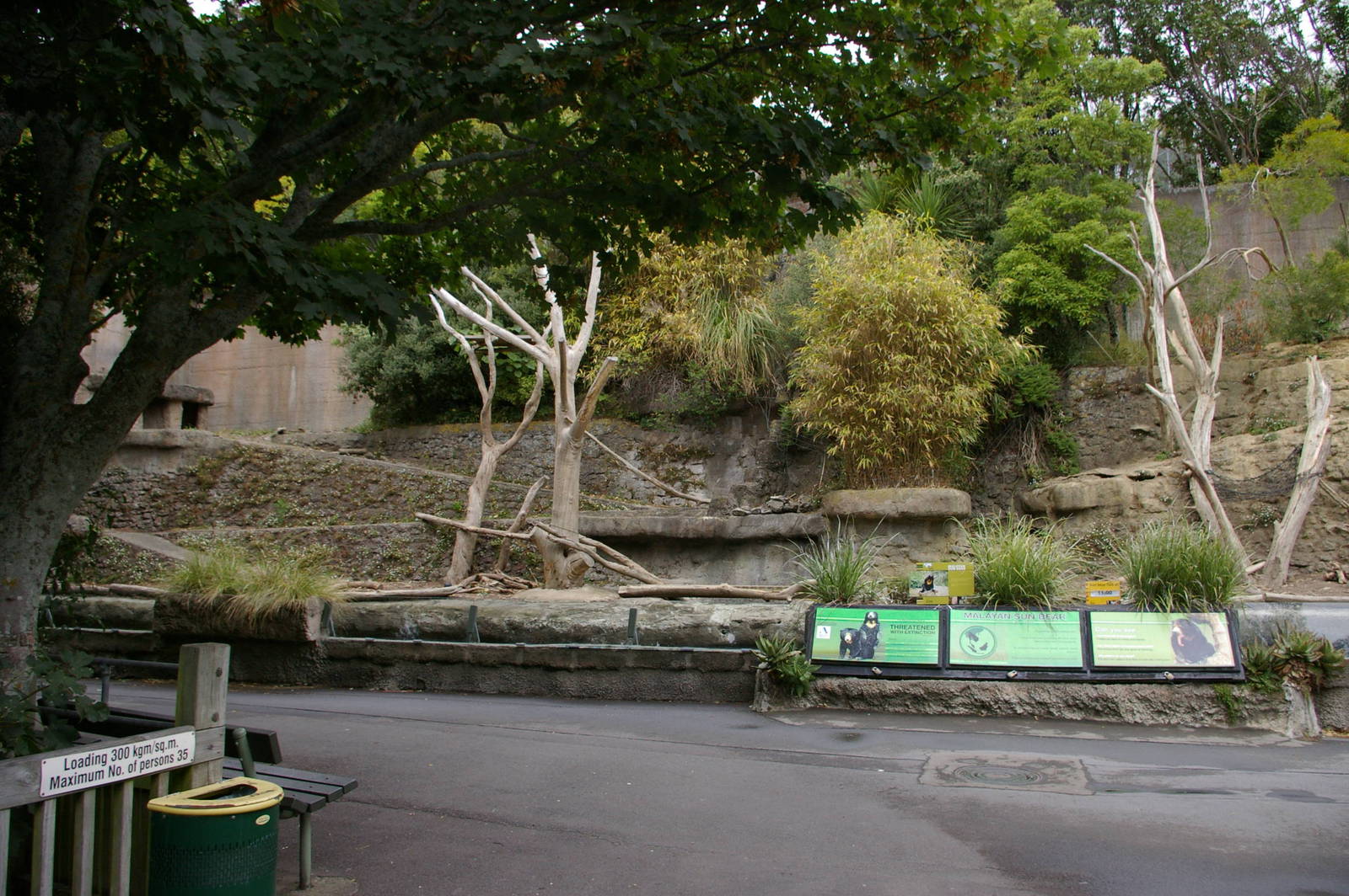 Wellington's sun bear enclosure