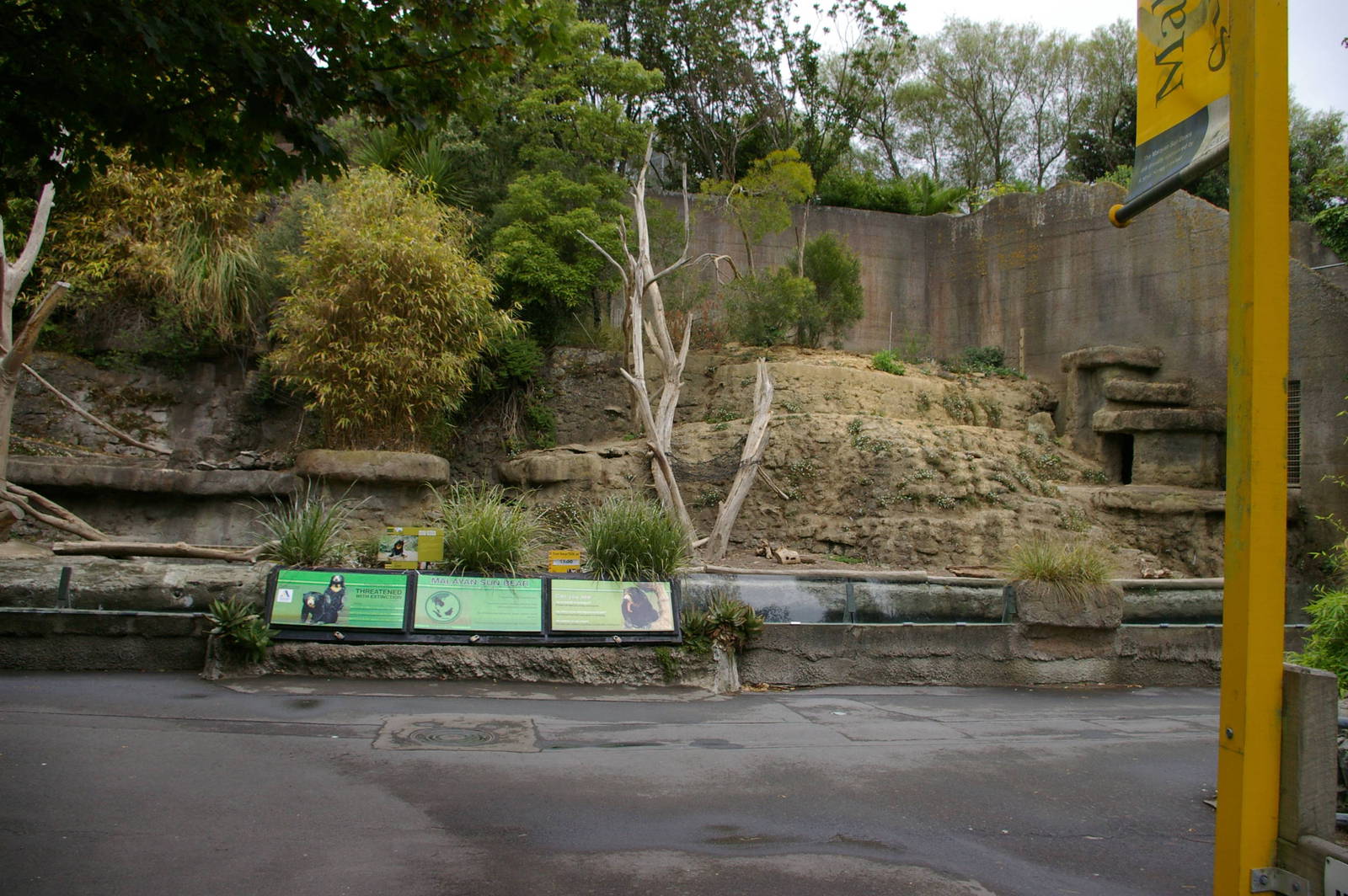 Wellington's sun bear enclosure