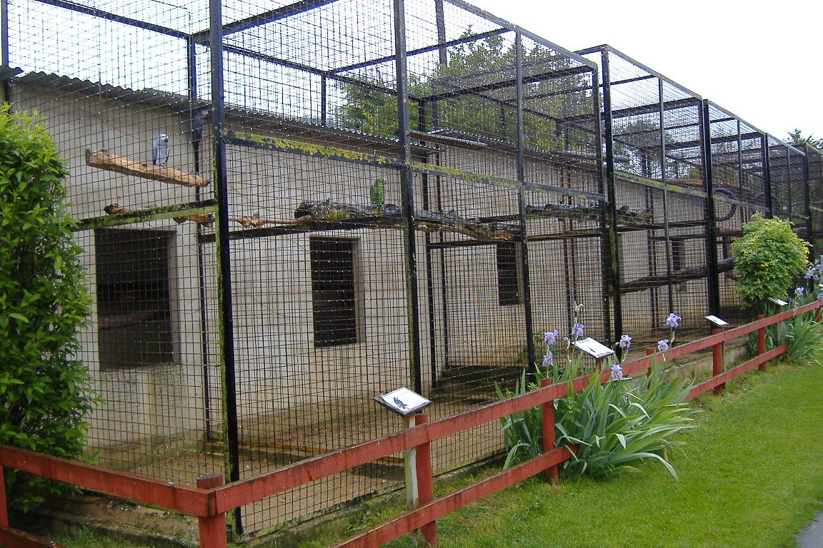 Wellplace parrot aviaries