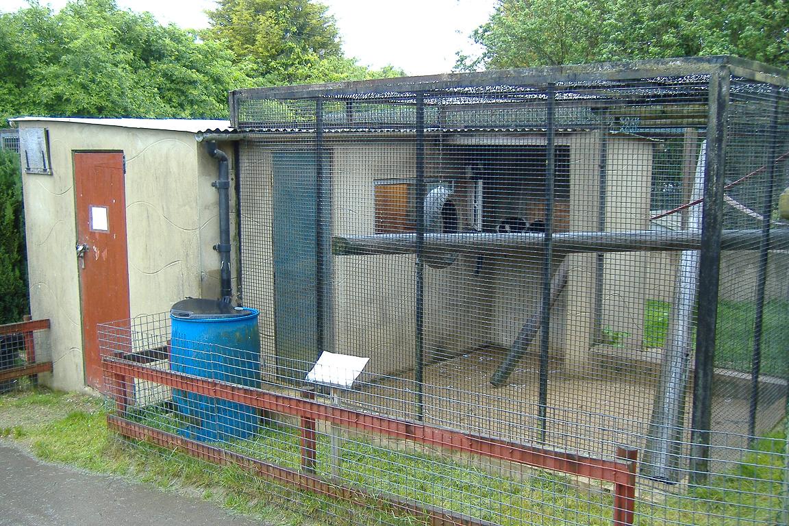 Wellplace Ruffed Lemur cage