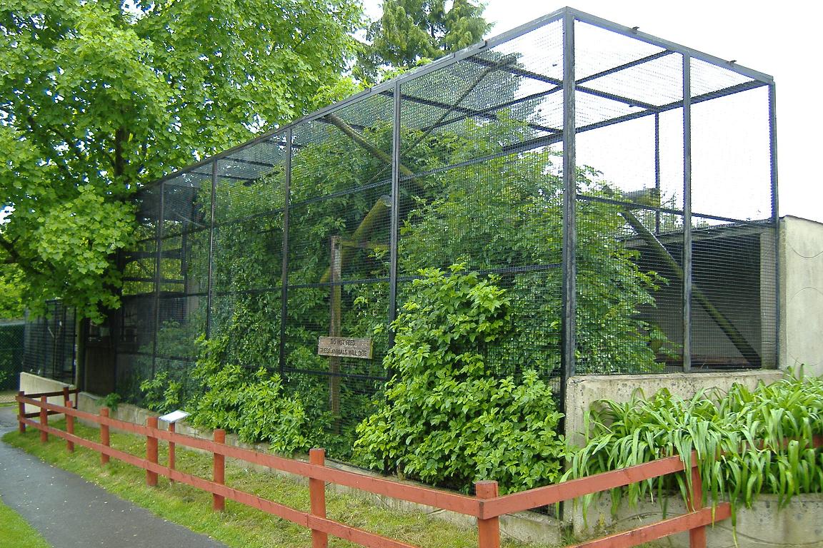 Wellplace Squirrel Monkey cage