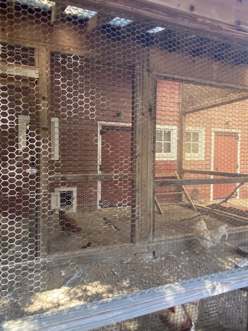Wells Fargo family farm- chicken coop
