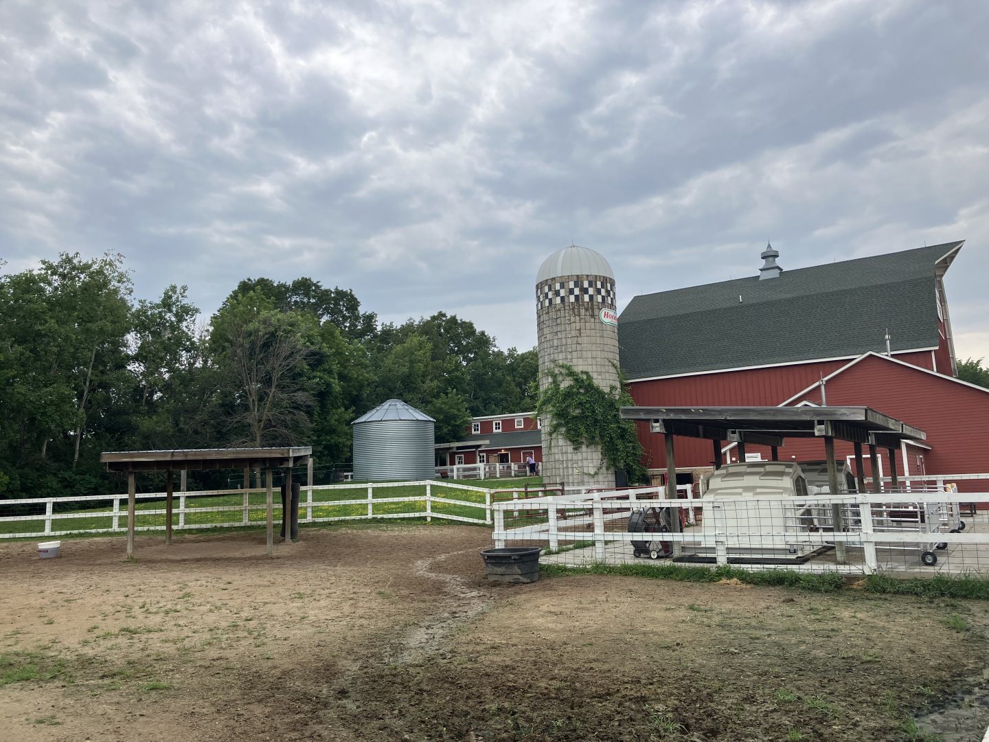 Wells Fargo Family Farm - Domestic Cattle Exhibit