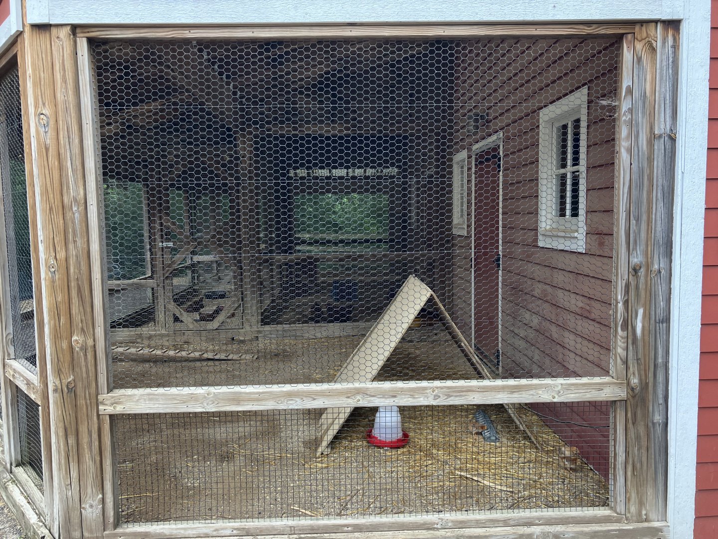 Wells Fargo Family Farm - Domestic Chicken Exhibit
