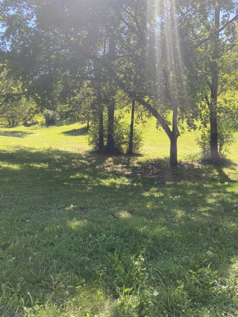 Wells Fargo family farm- domestic horse exhibit