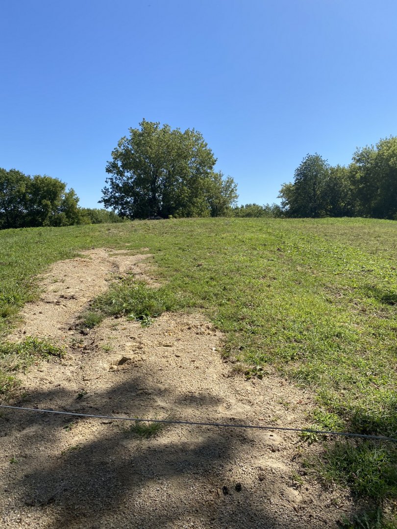 Wells Fargo family farm- domestic horse exhibit