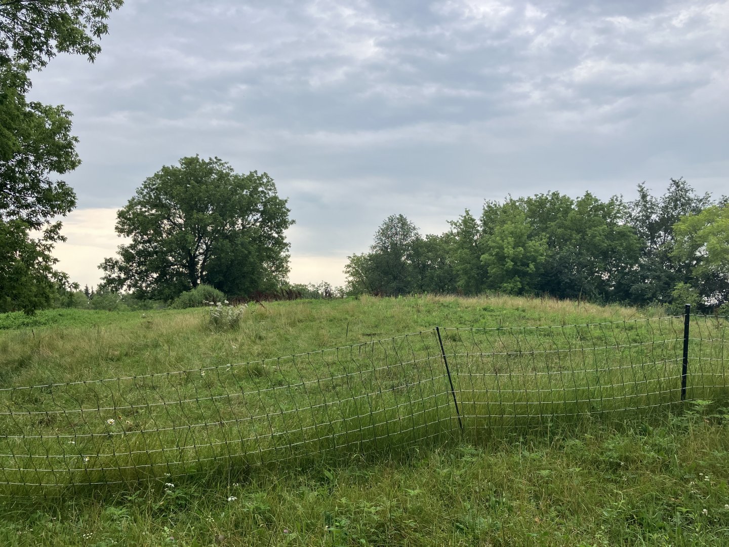 Wells Fargo Family Farm - Domestic Horse Exhibit