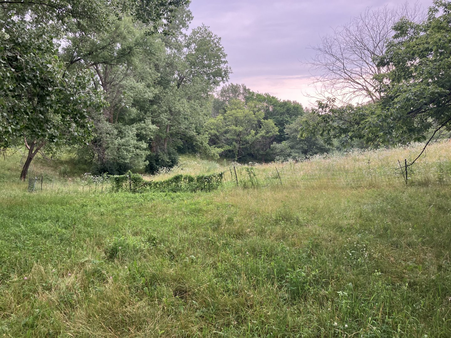 Wells Fargo Family Farm - Domestic Horse Exhibit