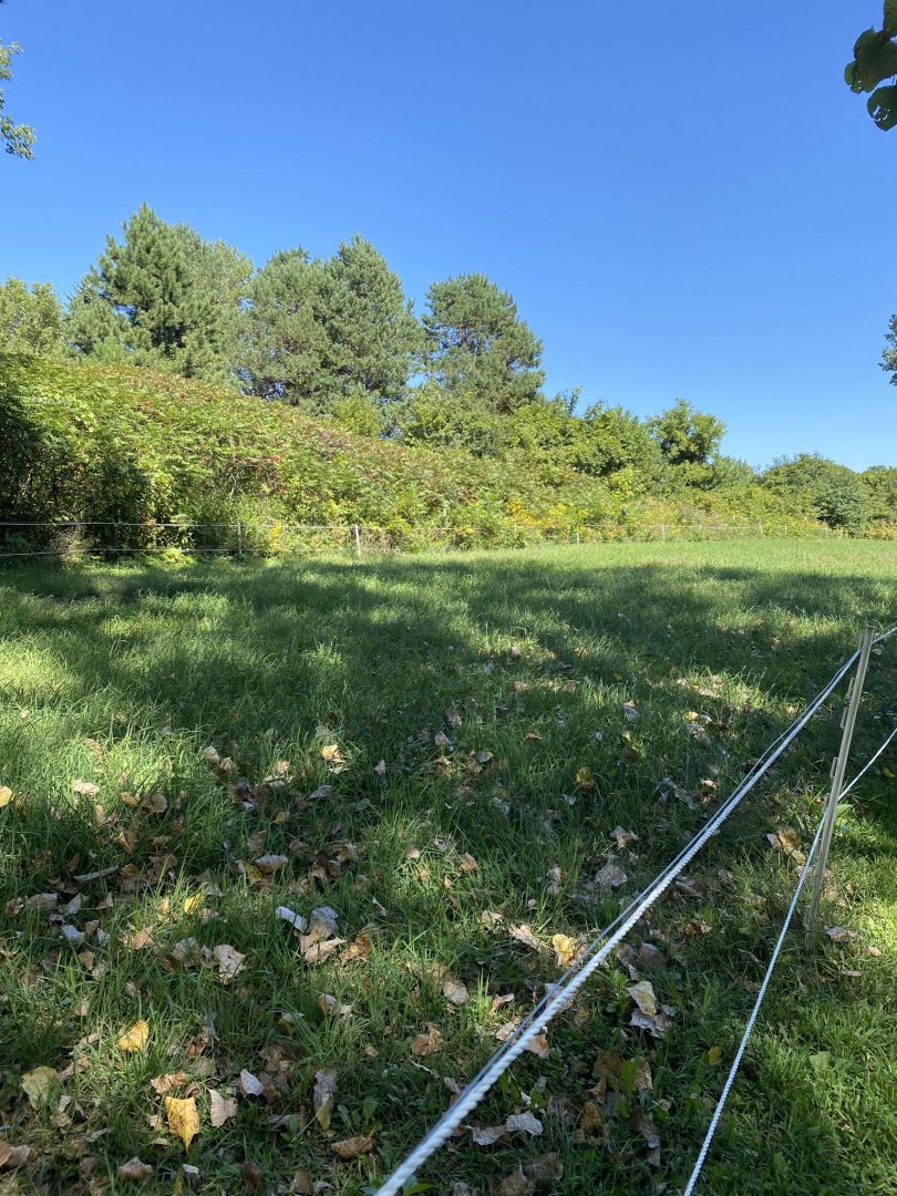 Wells Fargo family farm- former temporary llama exhibit