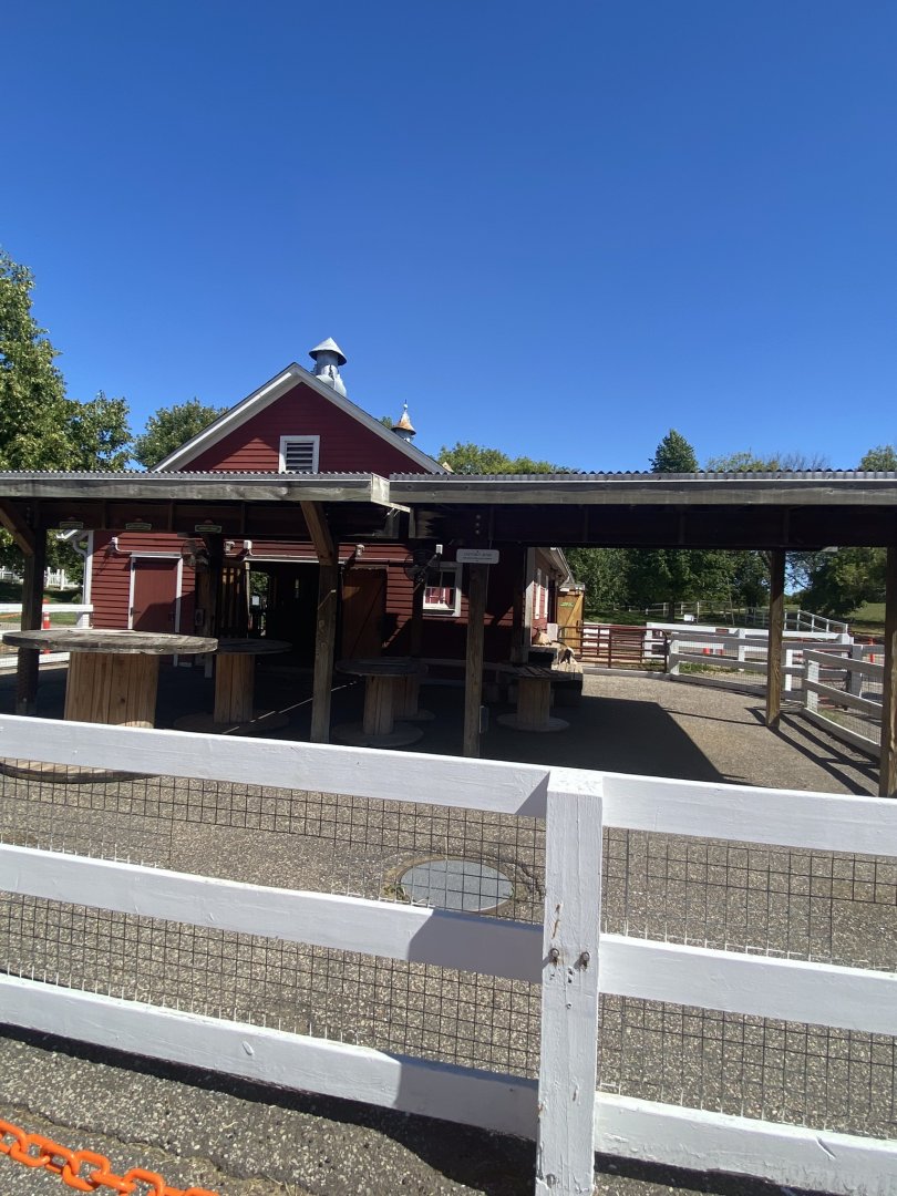 Wells Fargo family farm- goat exhibit