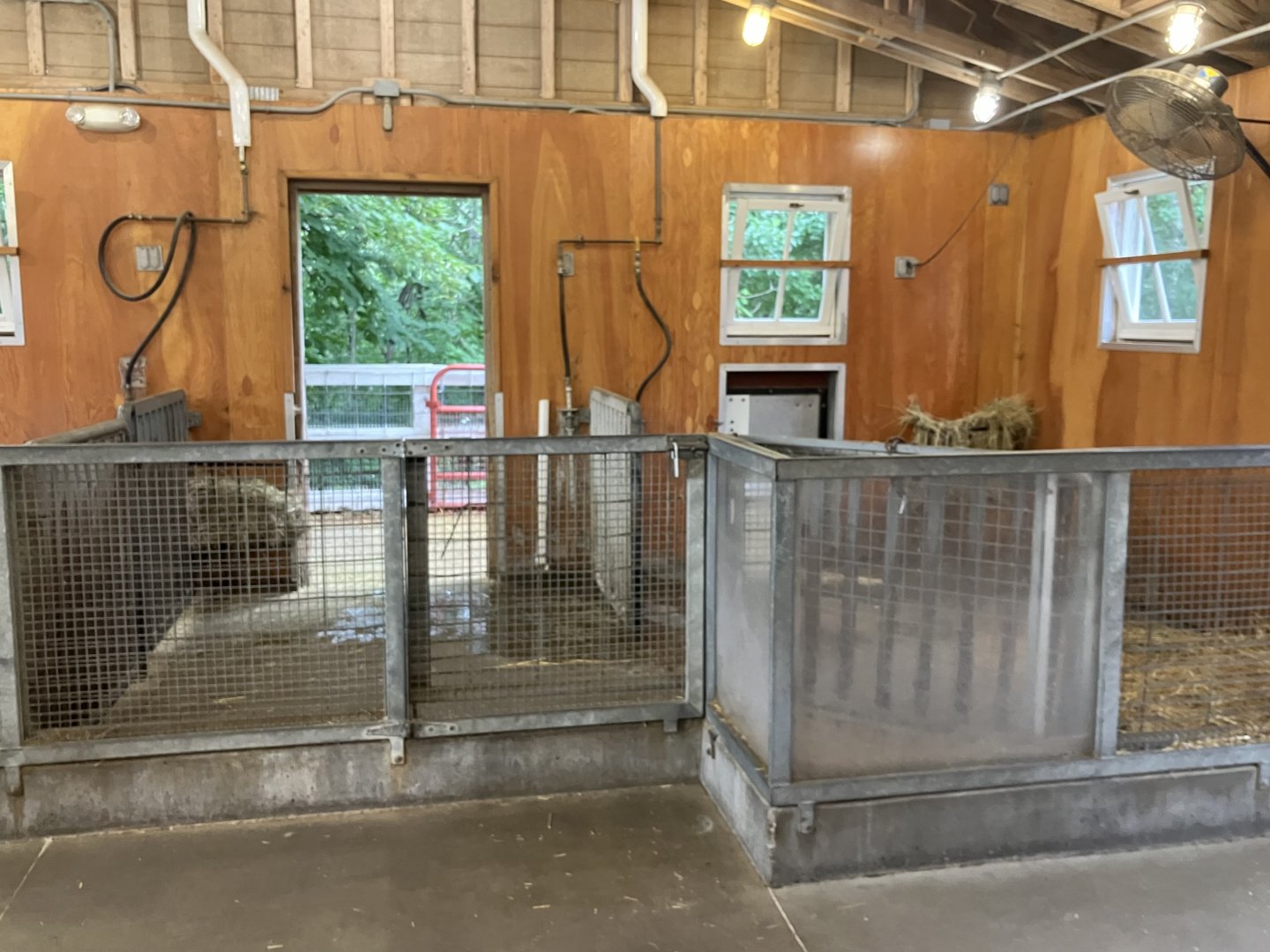 Wells Fargo Family Farm - Kunekune Pig Barn