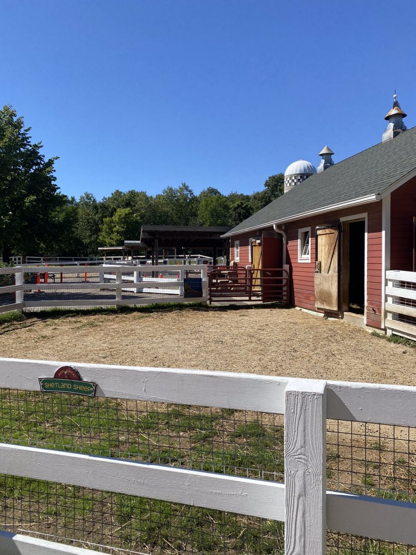 Wells Fargo Family Farm- Sheep exhibit
