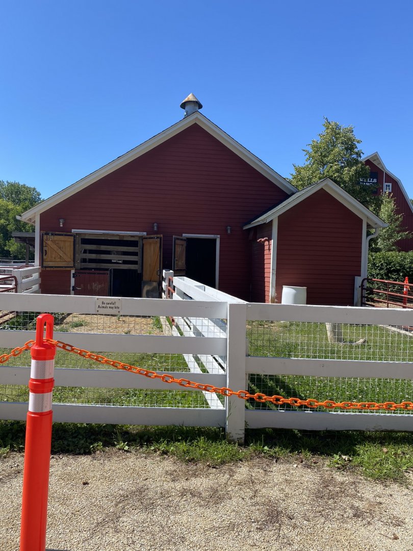 Wells Fargo family farm- sheep exhibits