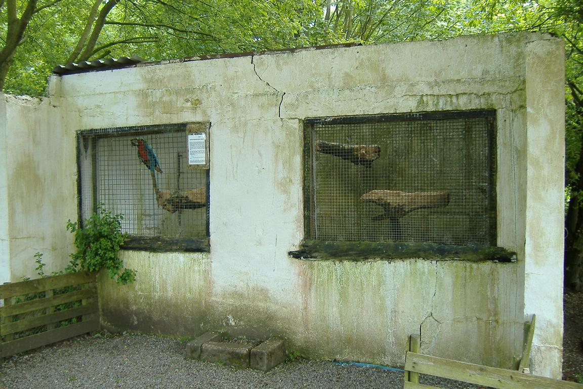 Welsh Hawking Centre 1