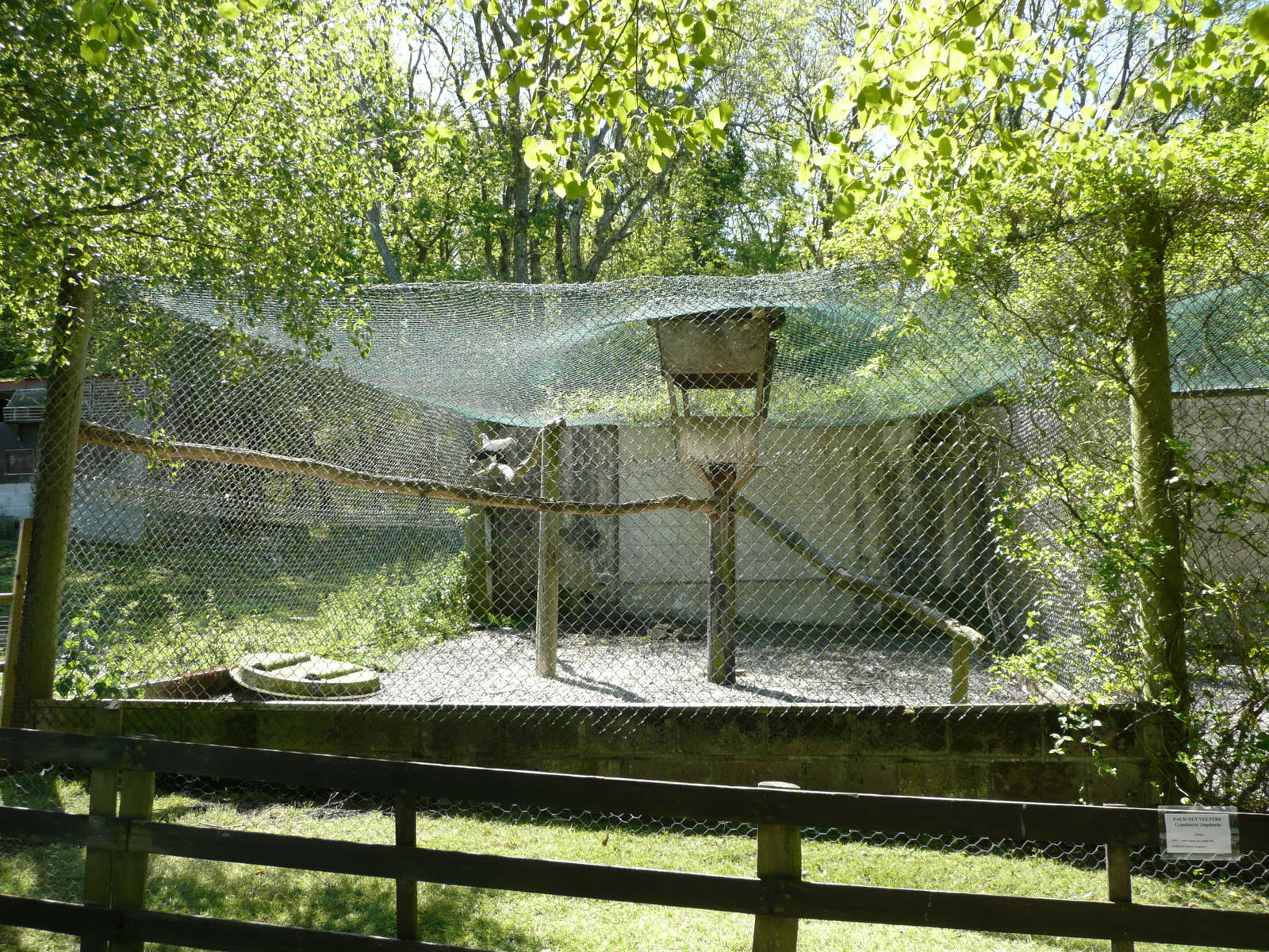 Welsh Hawking Centre ( former Barry Zoo )