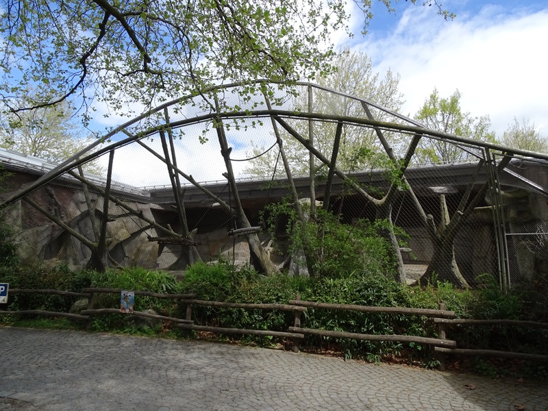 Welt der Affen: drill outoor enclosure