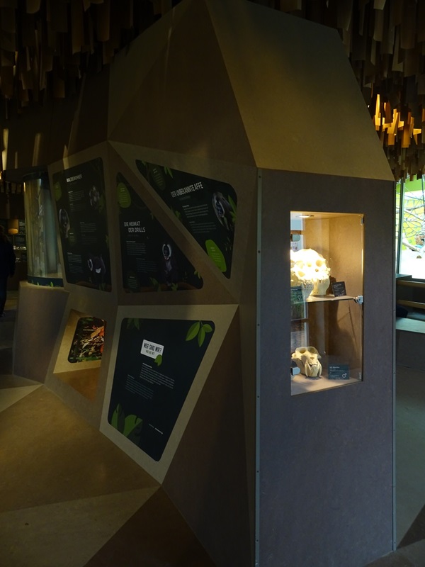Welt der Affen: Educational display