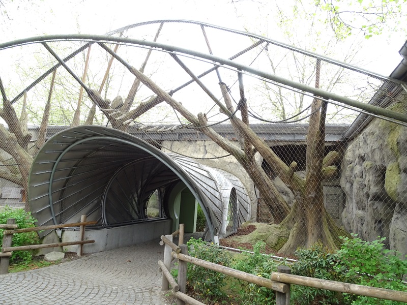 Welt der Affen: mangabey/drill outoor enclosure