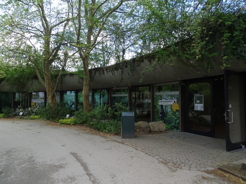 Welt der Affen; monkey house