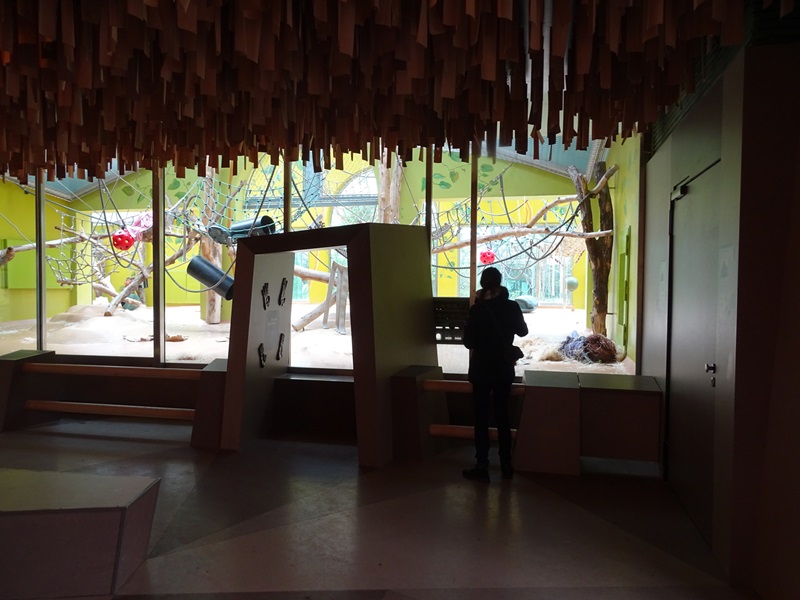 Welt der Affen; orangutan enclosure