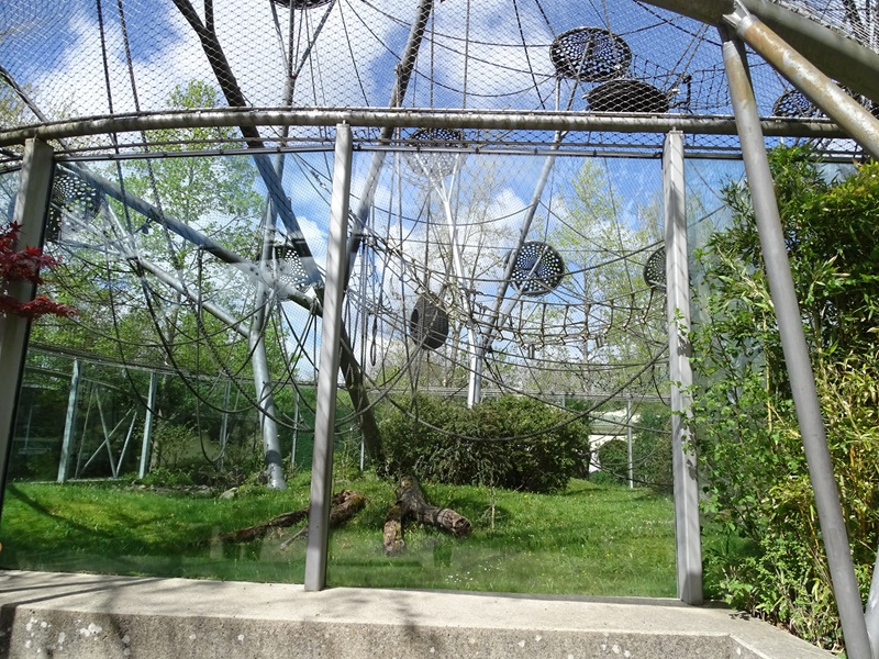 Welt der Affen; orangutan enclosure