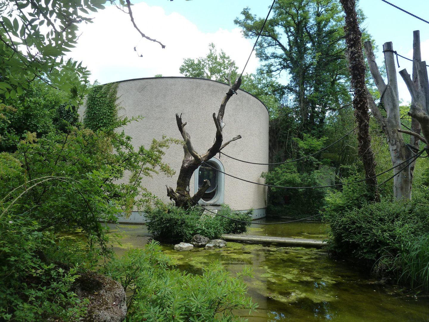 Welt der Affen - Siamang enclosure