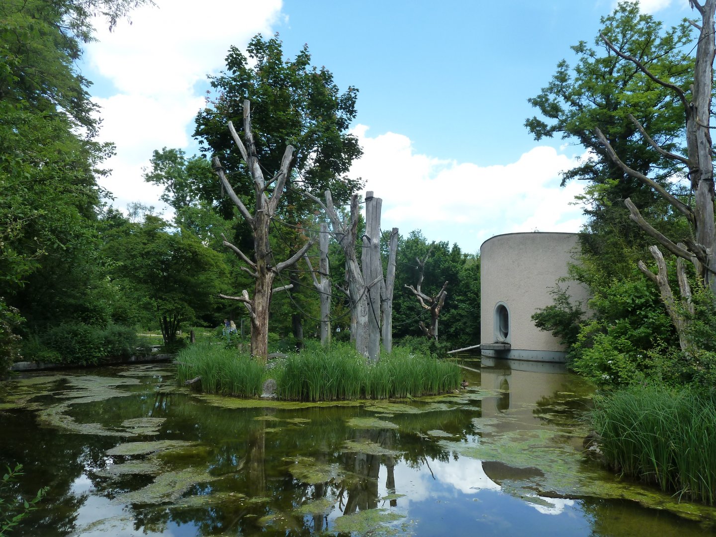 Welt der Affen - Siamang enclosure