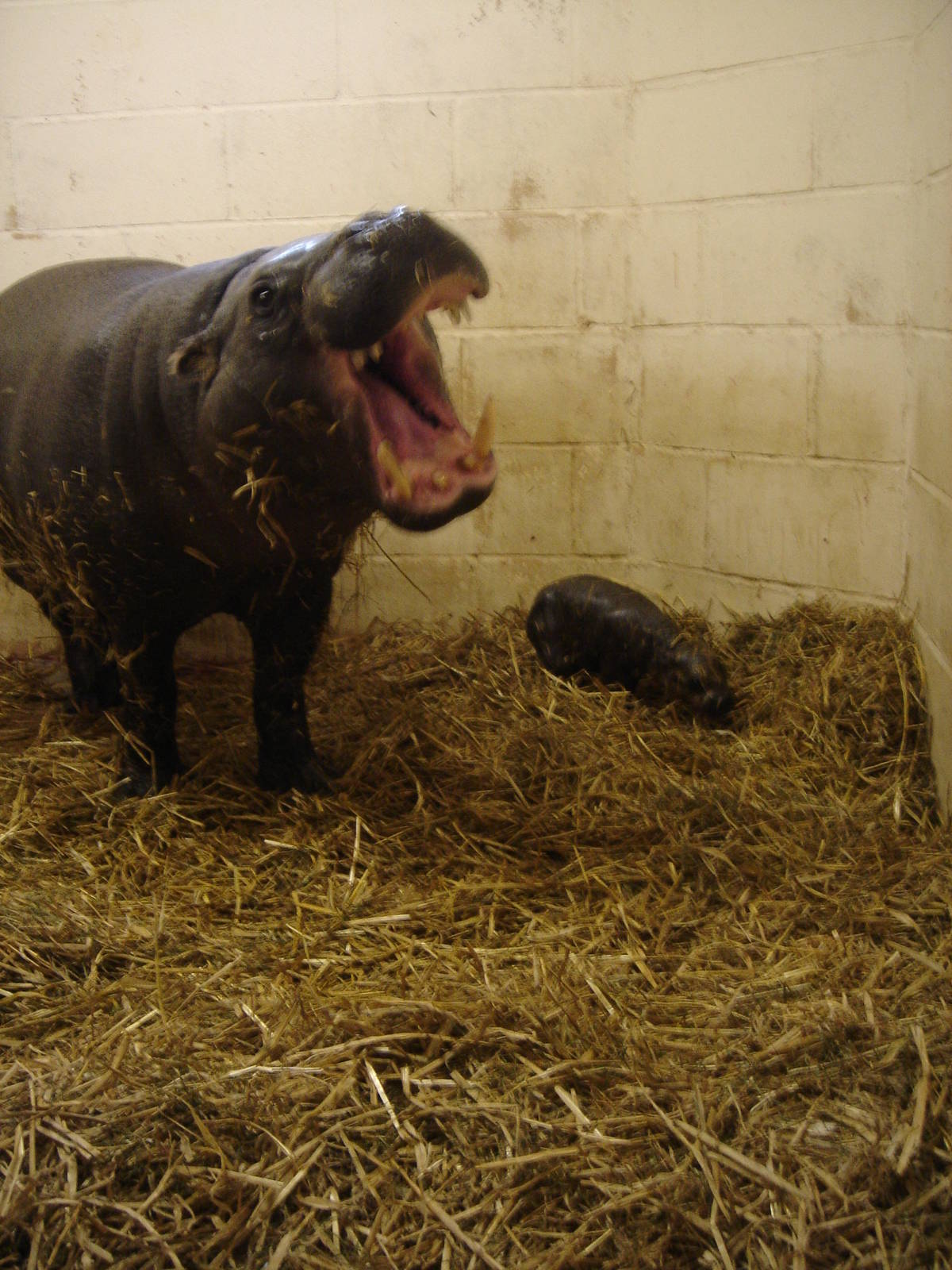 Wendy being protective