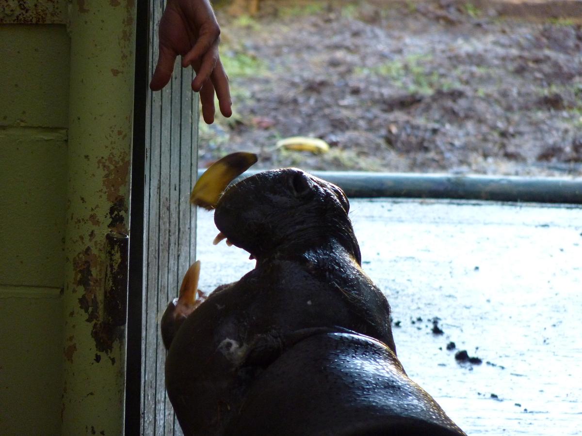 Wendy recieves Lunch