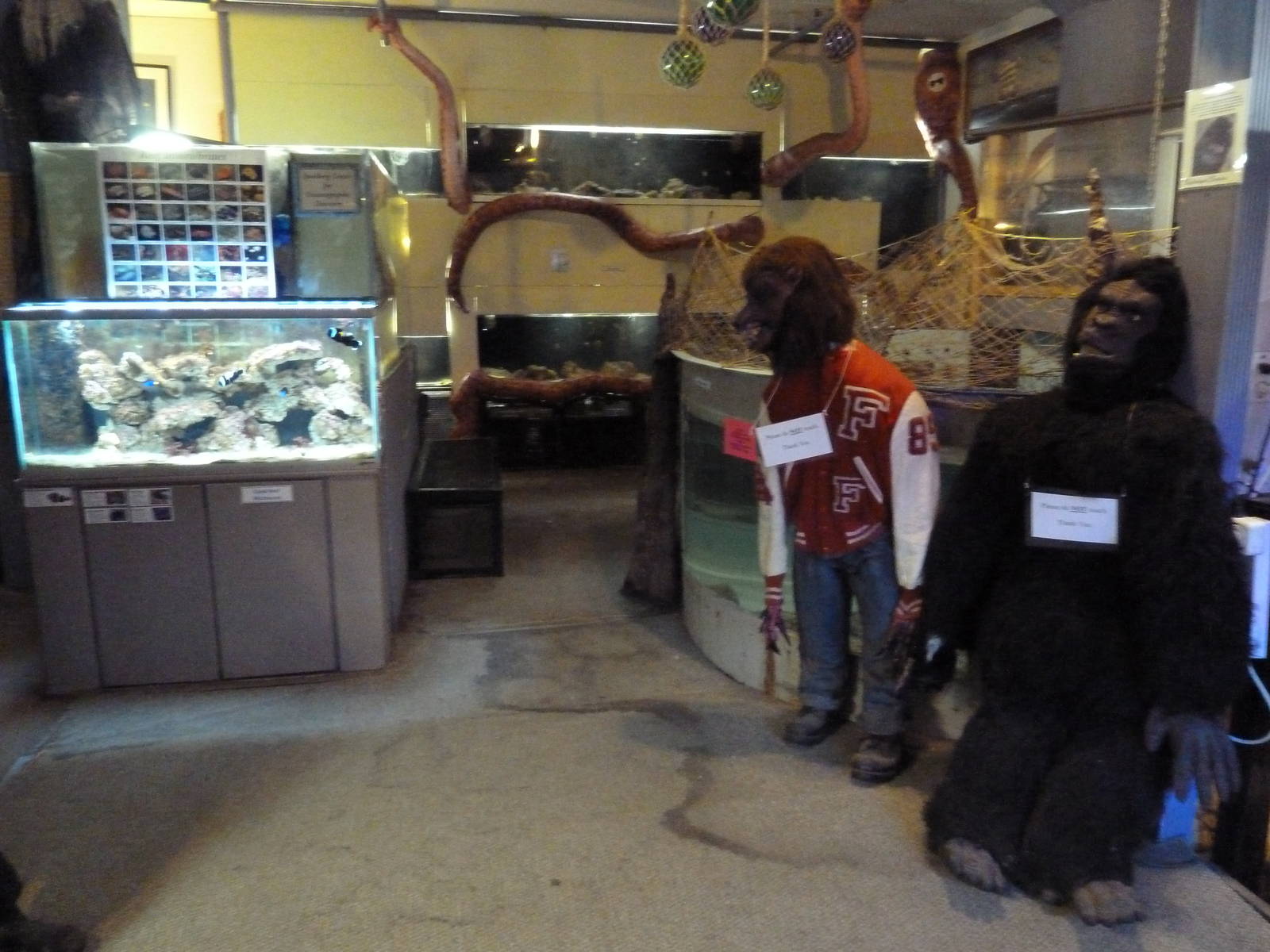 Werewolf + Gorilla + Assorted Tanks