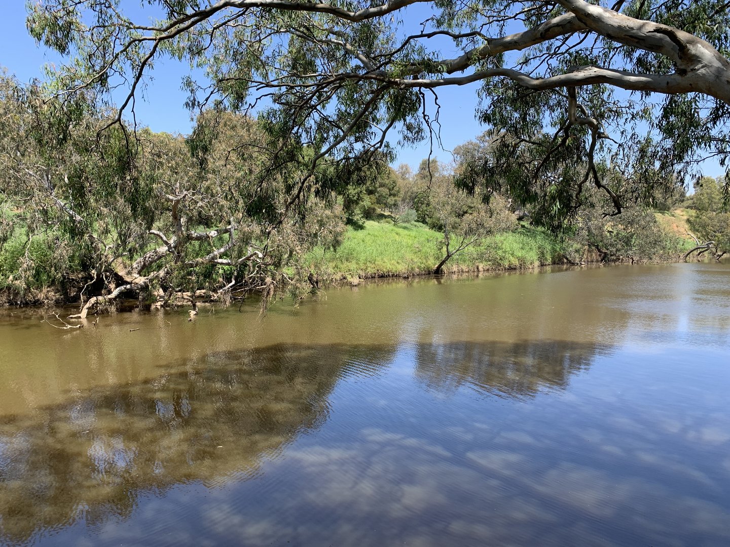 Werribee River