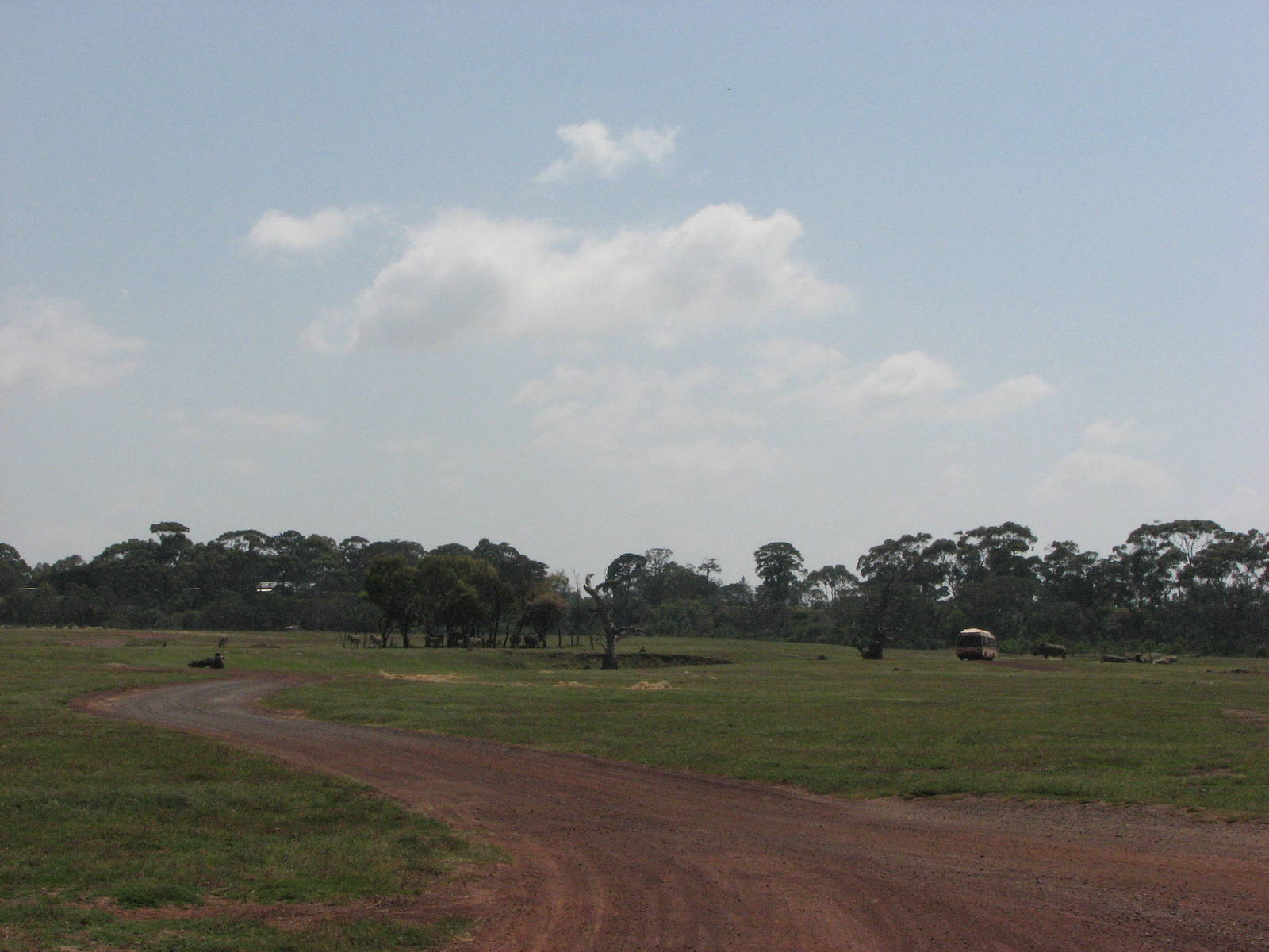 Werribee Zoo - Drive-through exhibit scene