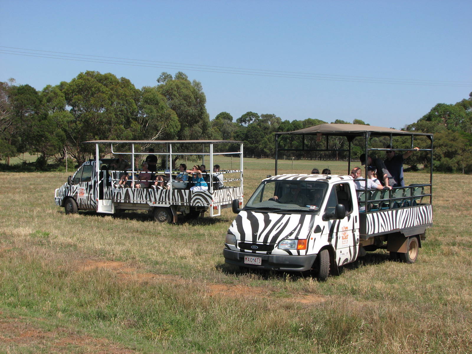 Werribee Zoo - Open safari vehicles