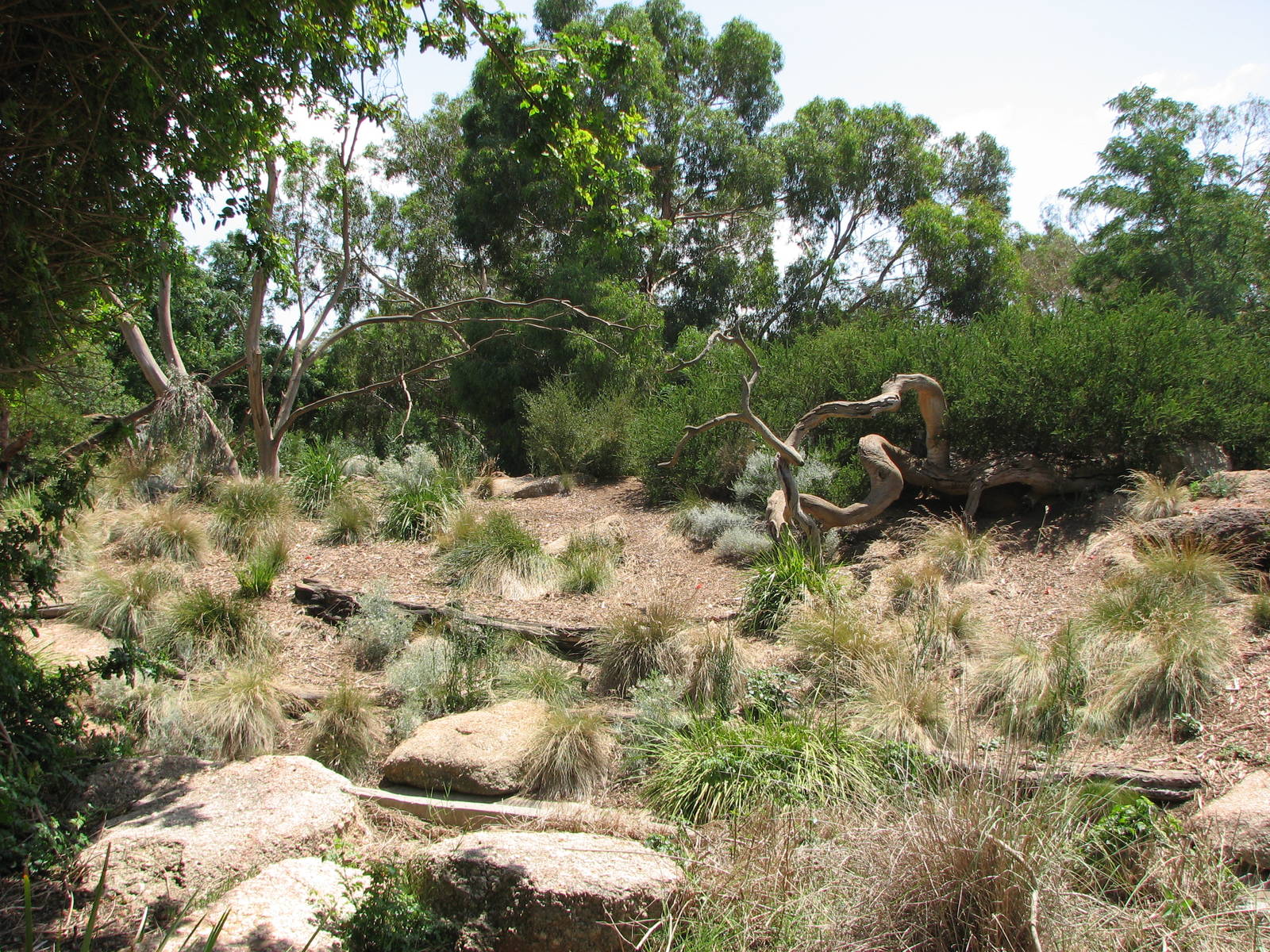 Werribee Zoo - View into the Vervet Monkey exhibit