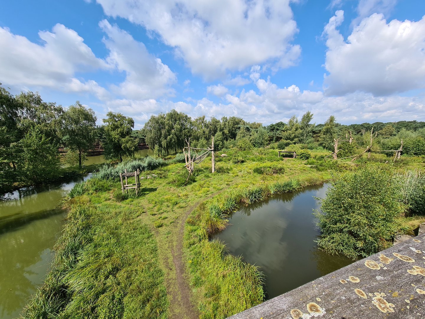 West African Chimpanzee island