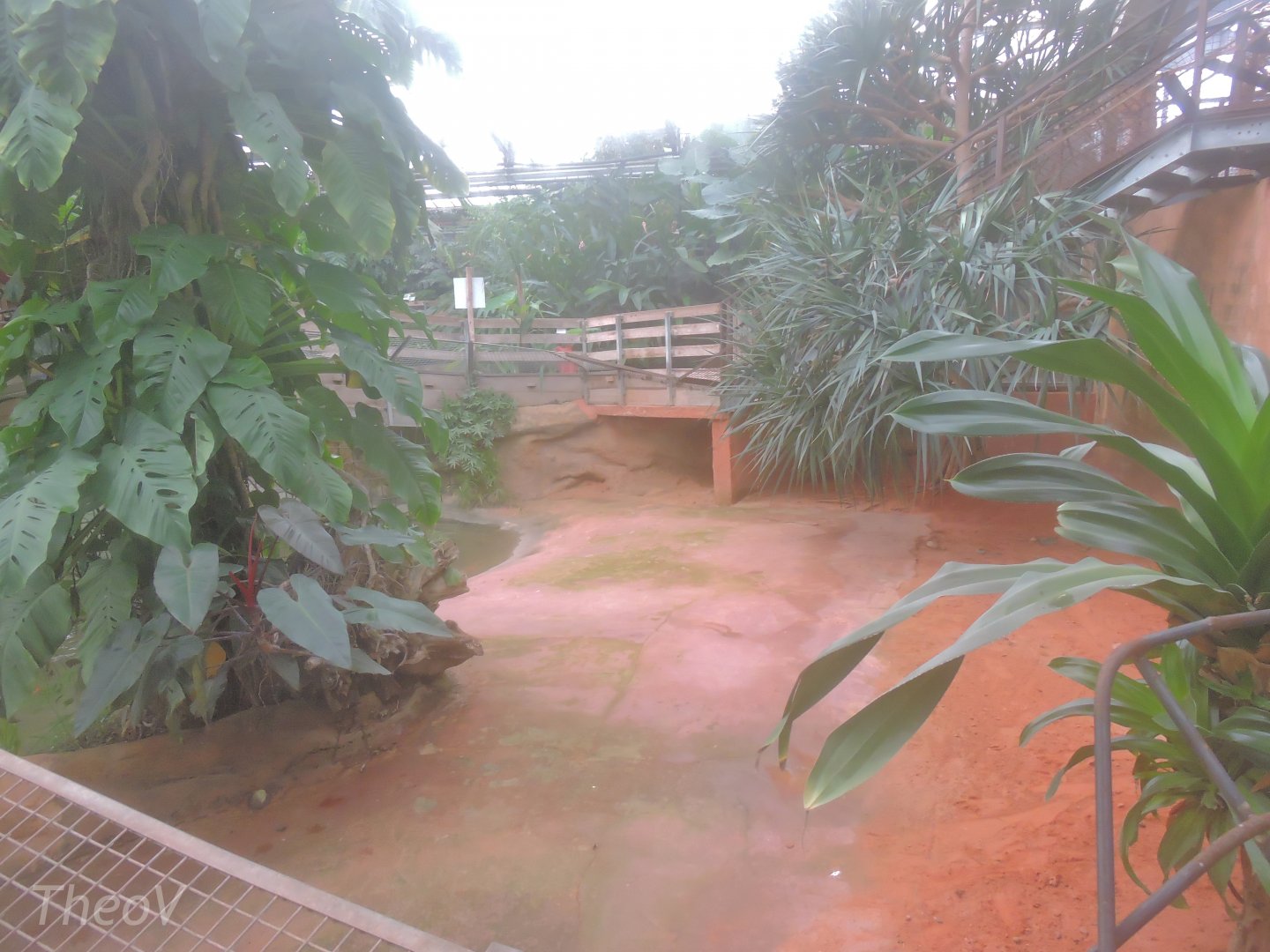 West African crocodile exhibit [2016]