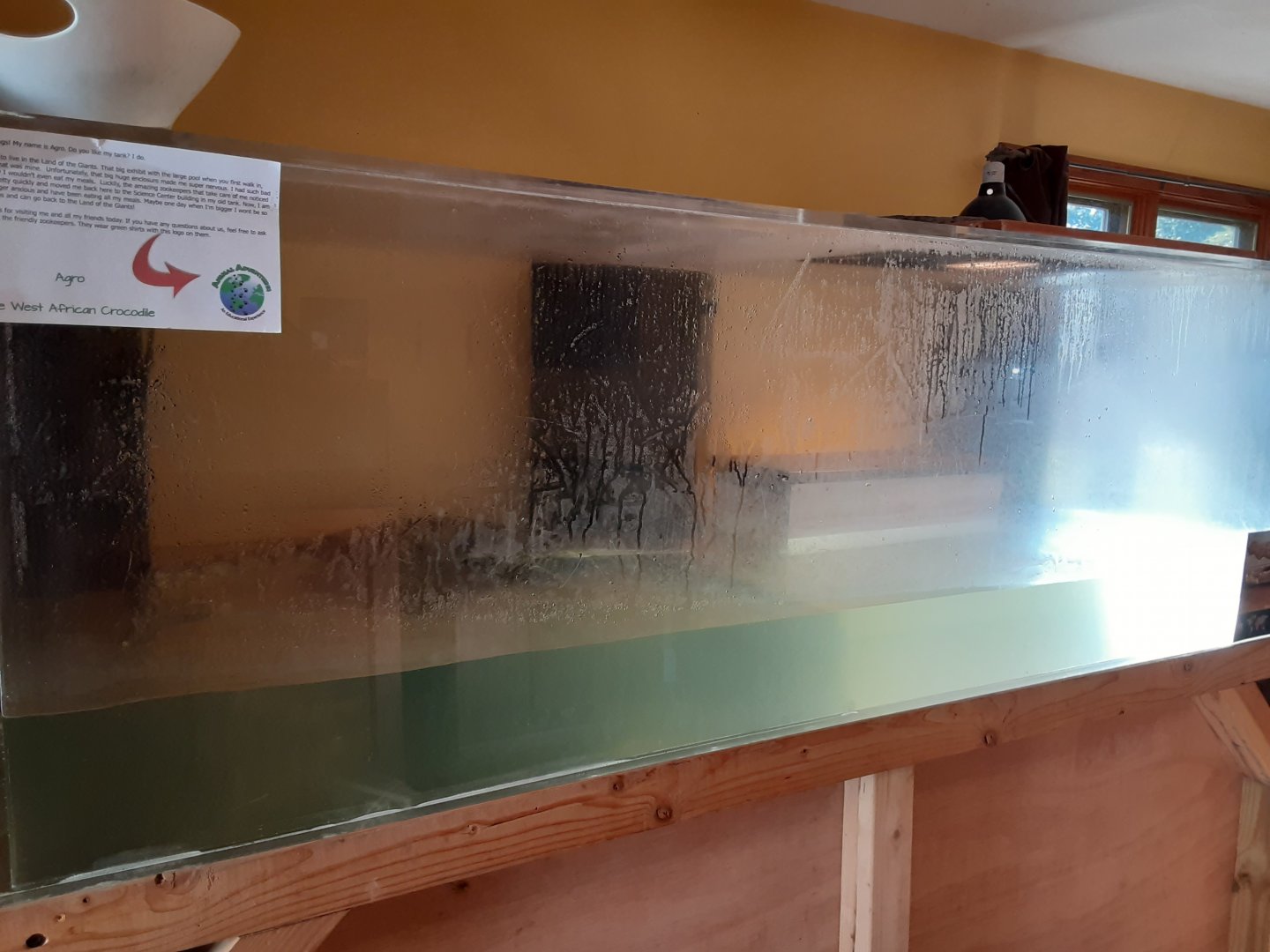 West African Crocodile exhibit