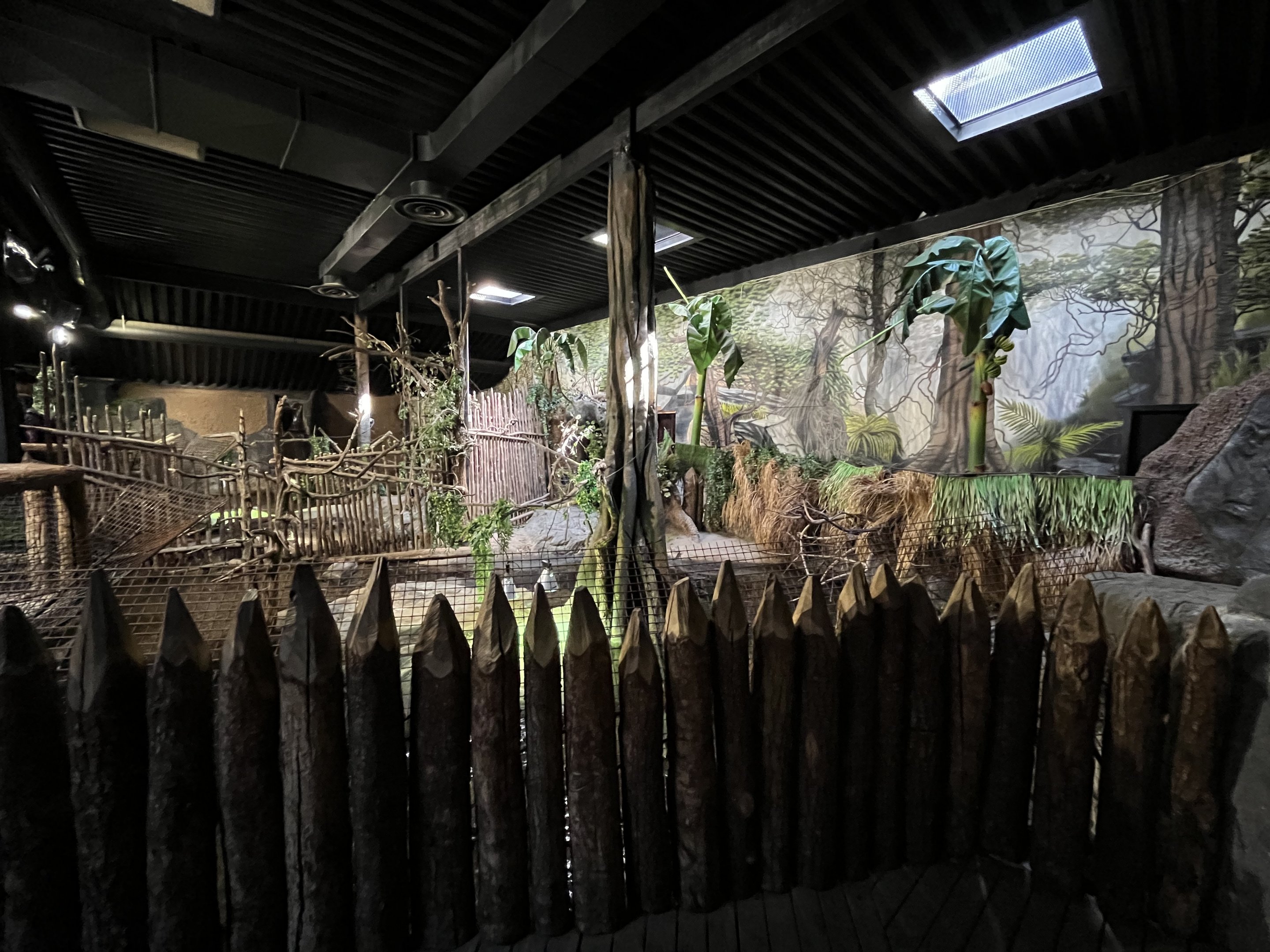 West African Crocodile Exhibit