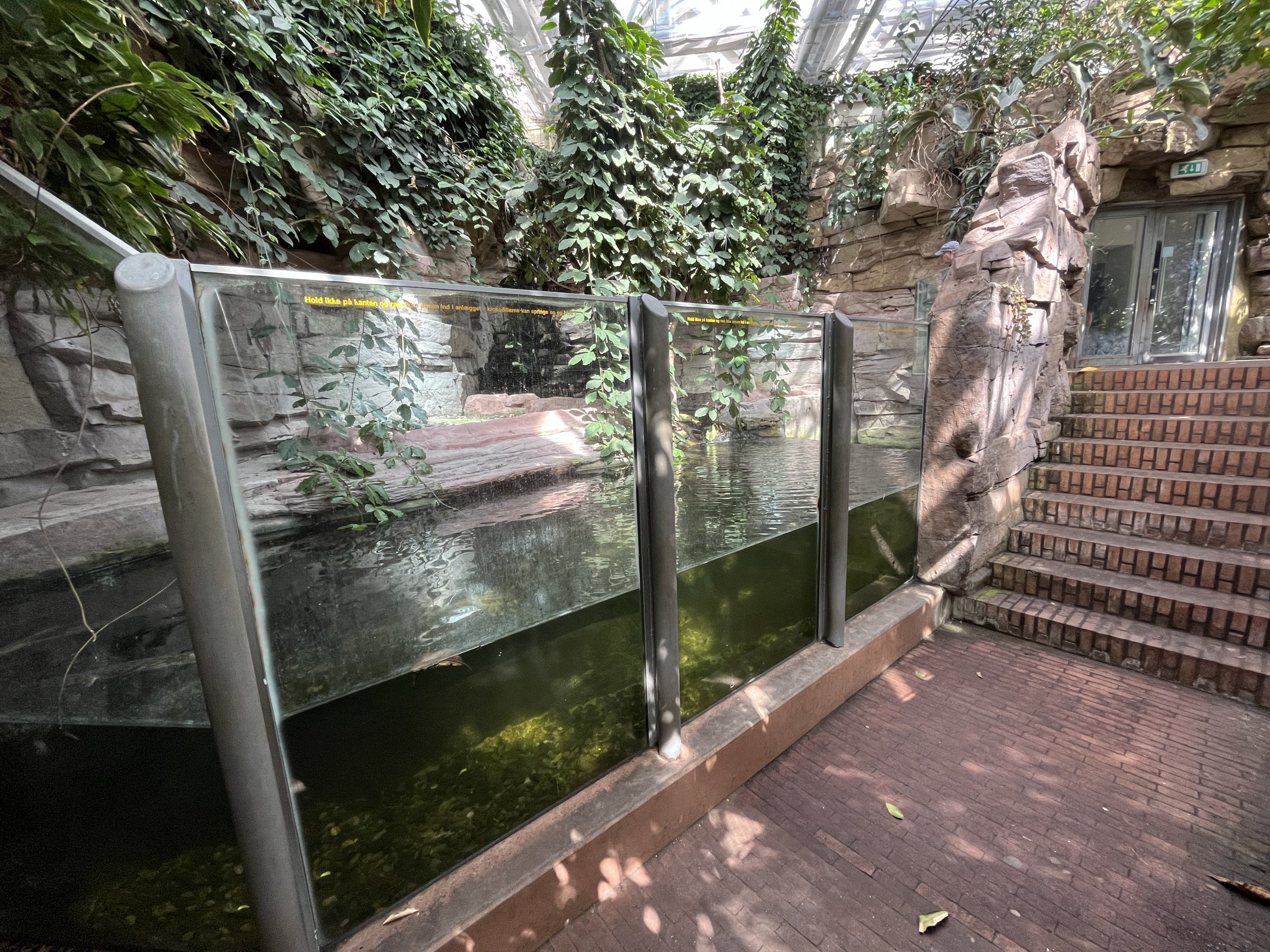 West African Crocodile Exhibit