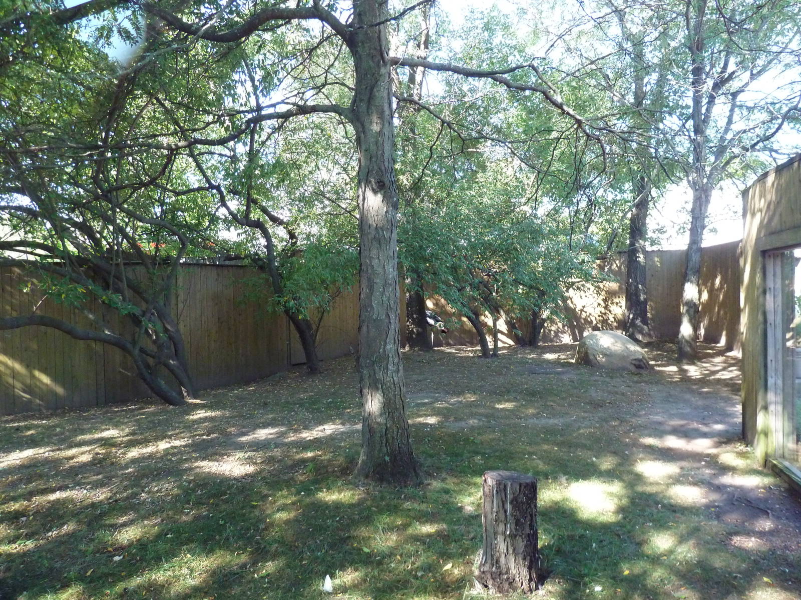 West African Crowned Crane Exhibit