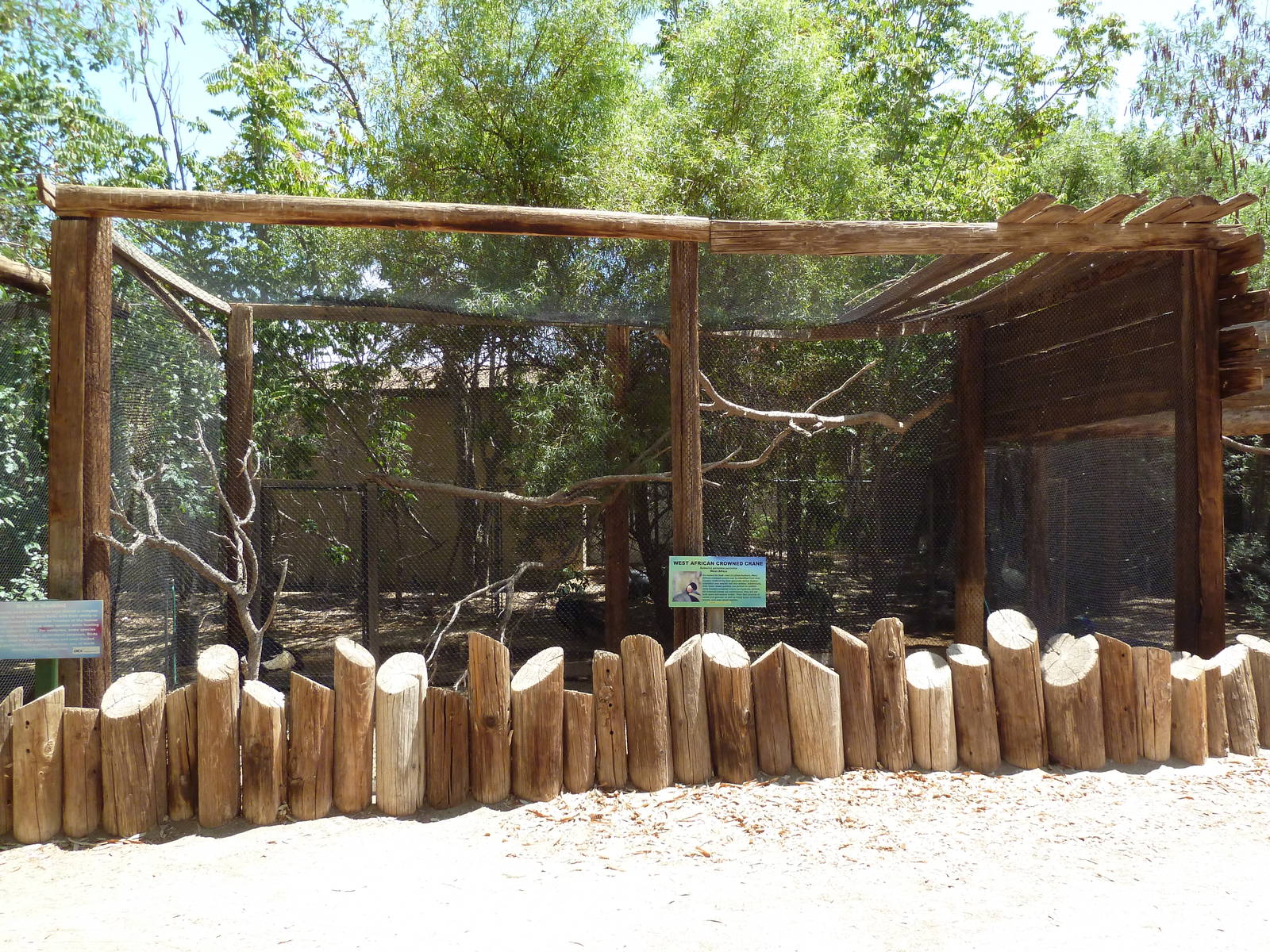West African Crowned Crane Exhibit