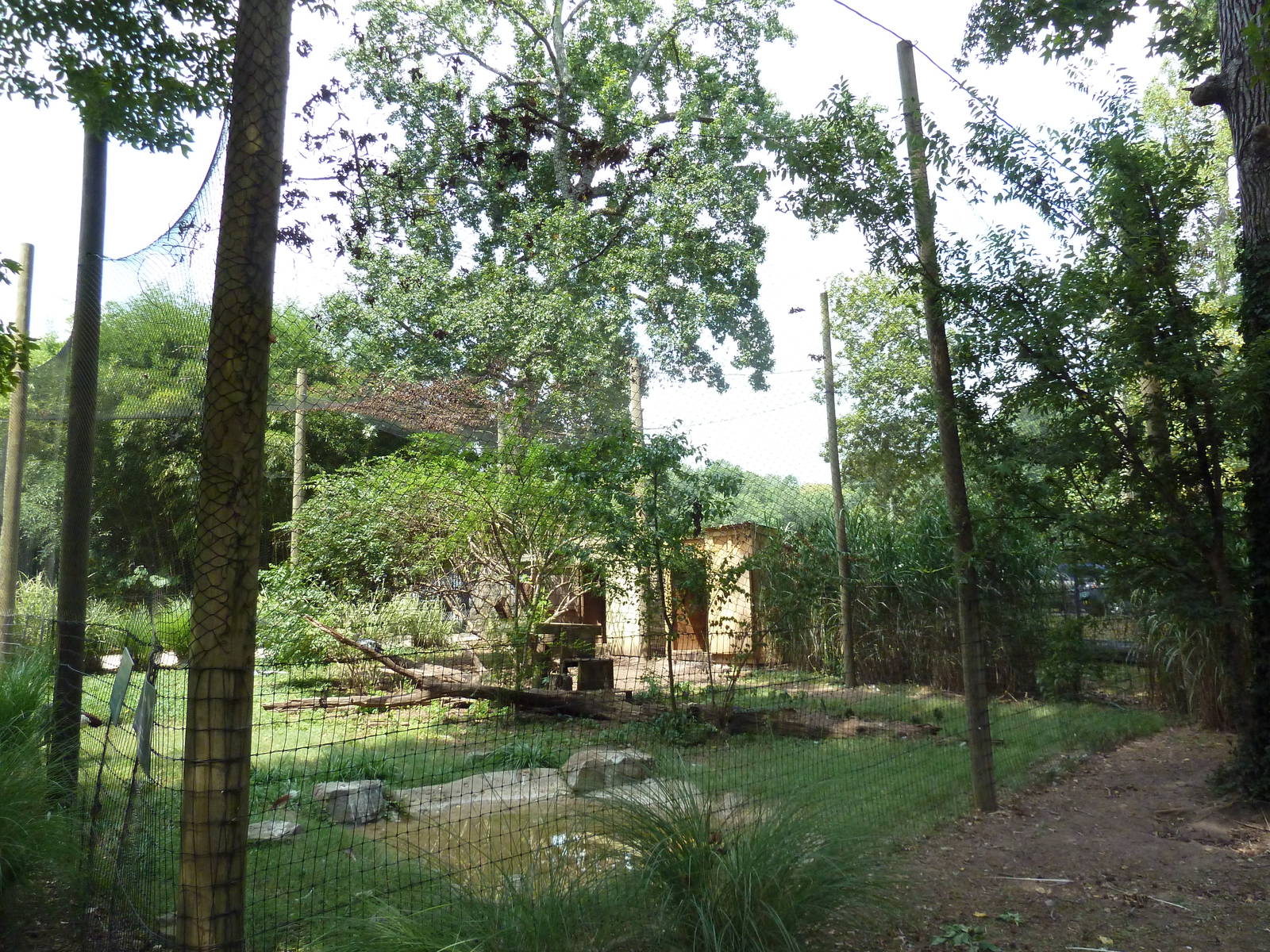 West African Crowned Crane/Secretary Bird Exhibit