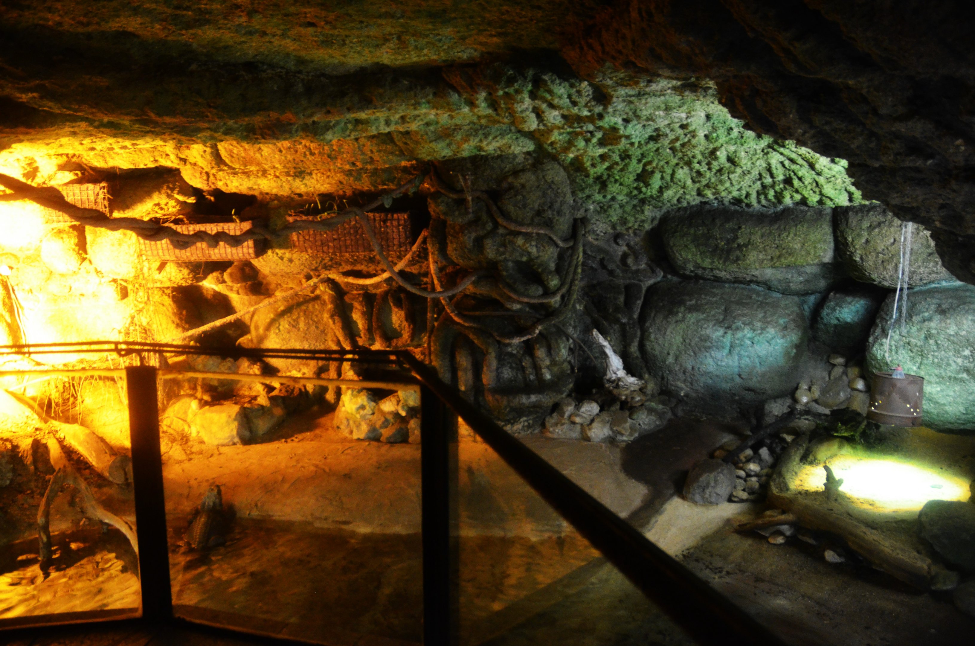 West African Dwarf Crocodile Enclosure at Doué-la-Fontaine, 15/06/18