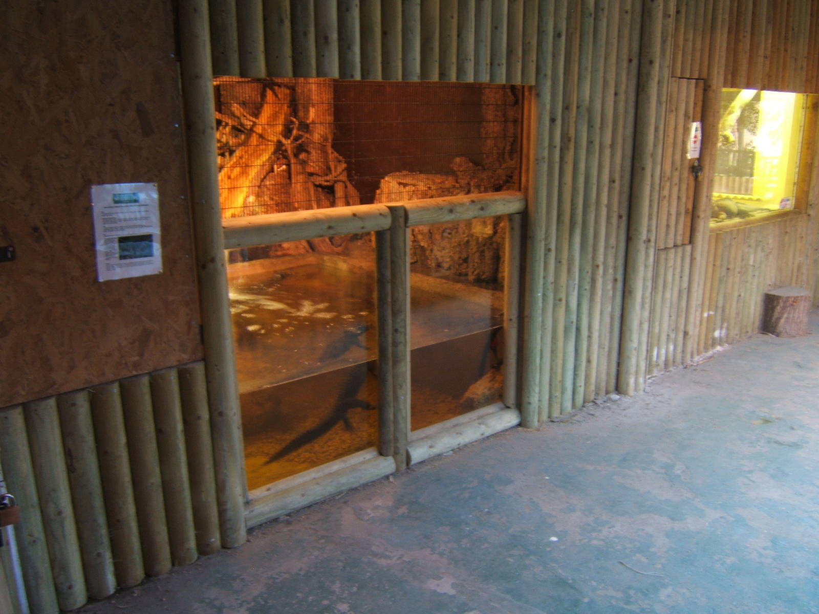 West African Dwarf Crocodile enclosure