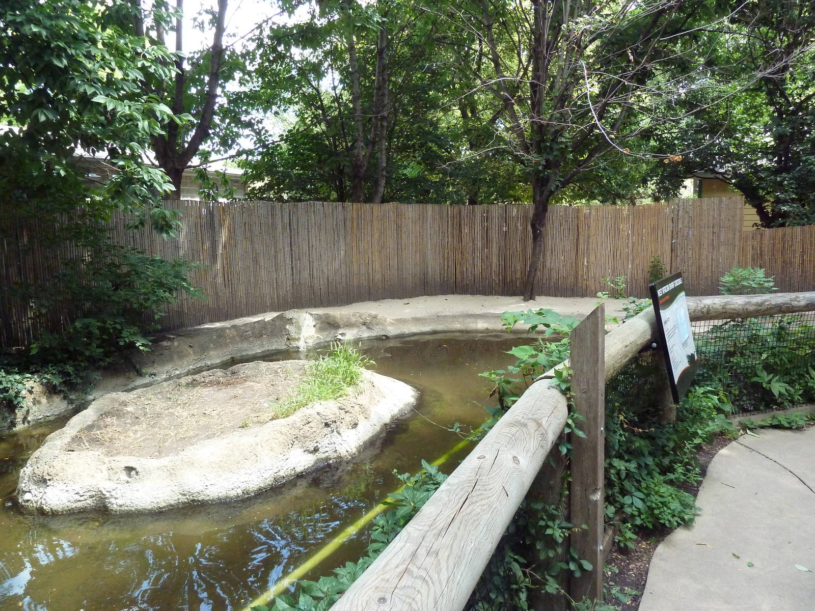 West African Dwarf Crocodile Exhibit
