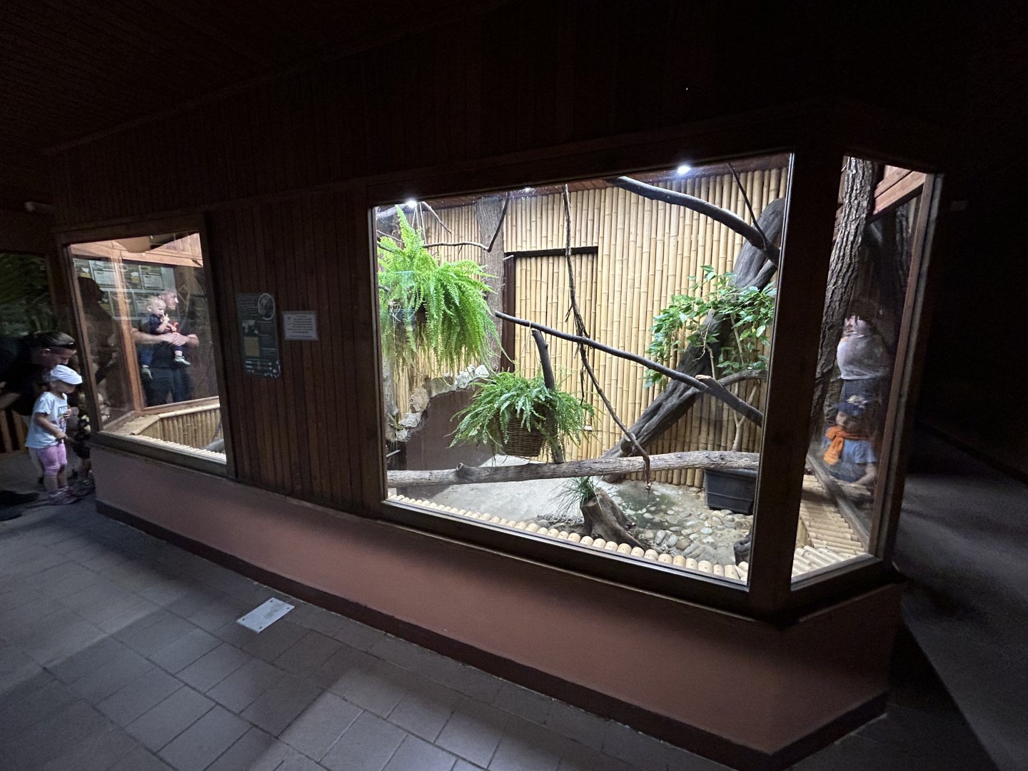 West African Dwarf Crocodile Exhibit