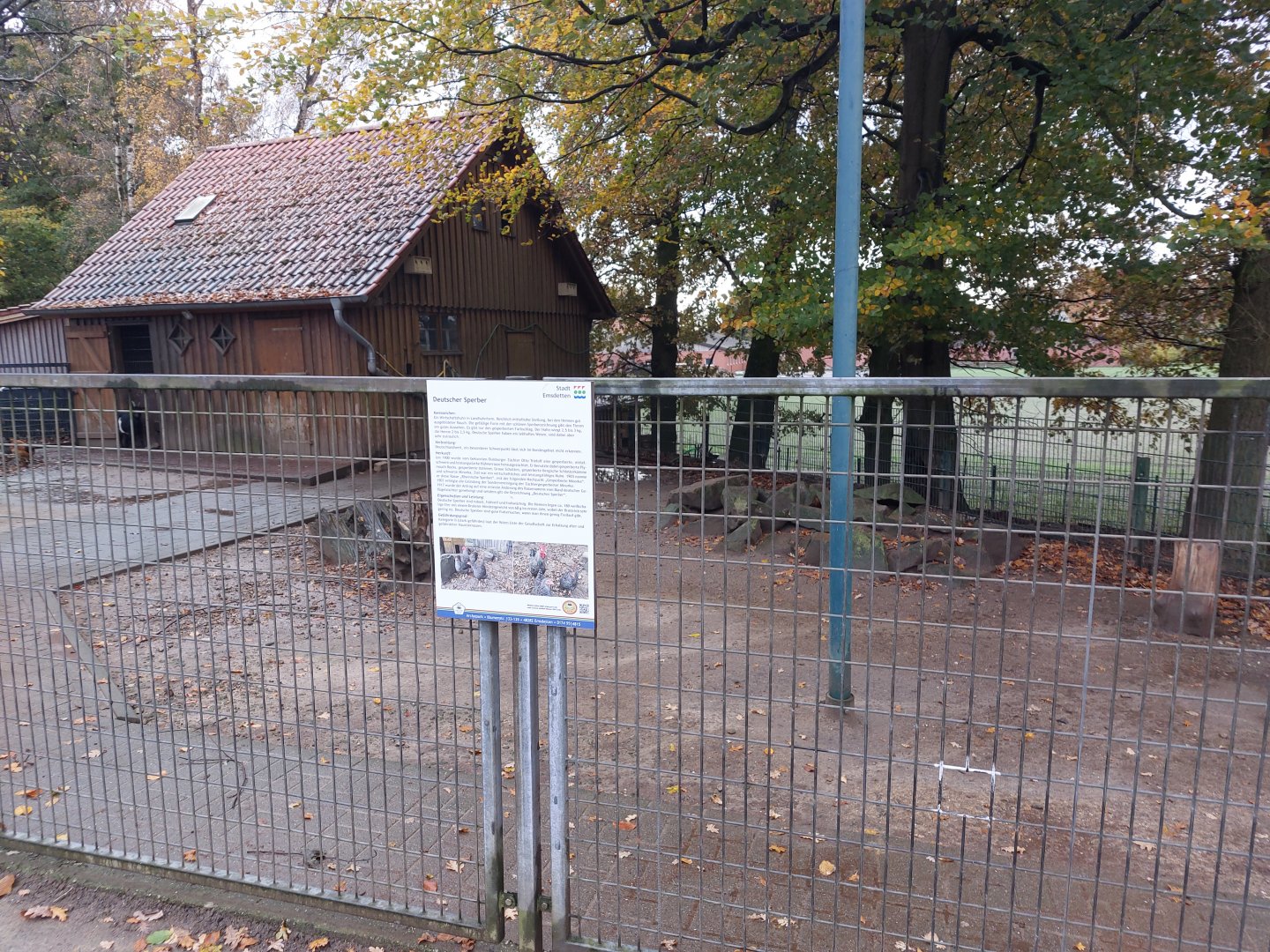 West African dwarf goat and Deutsche Sperber chicken enclosure (Stadtpark Emsdetten)