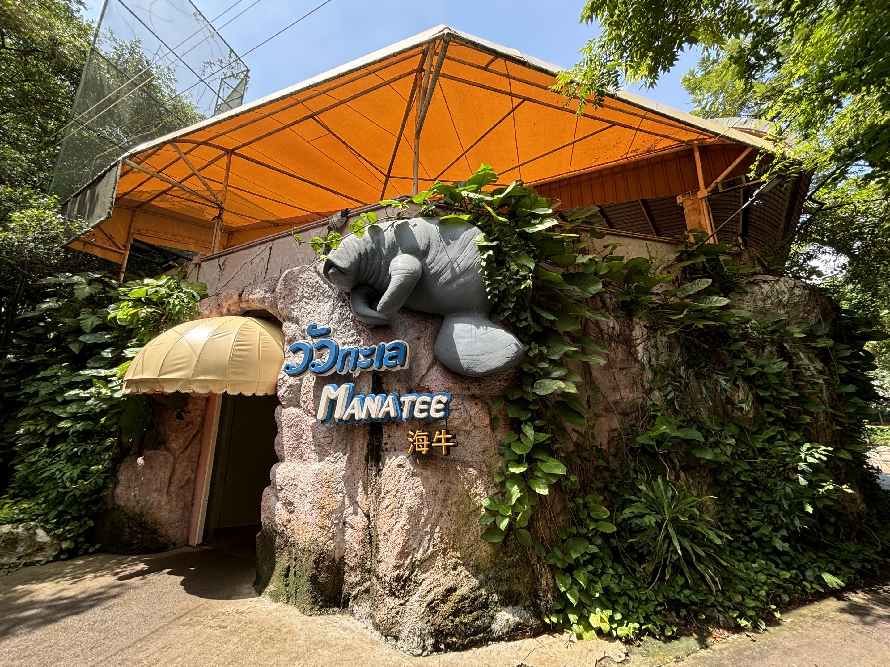 West African Manatee Exhibit