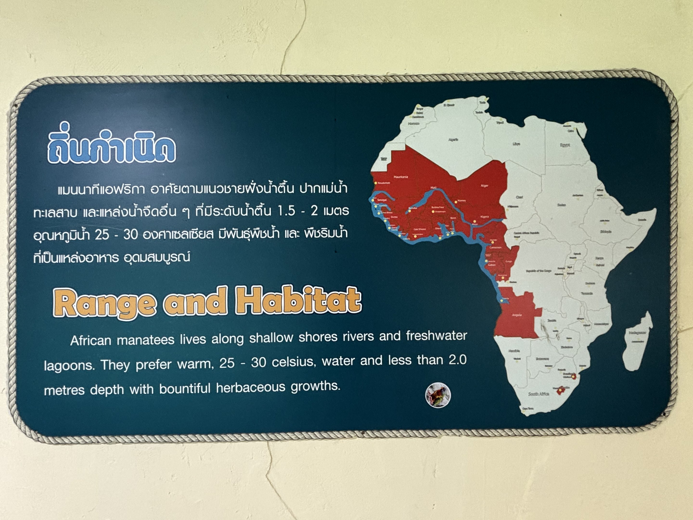 West African Manatee Sign